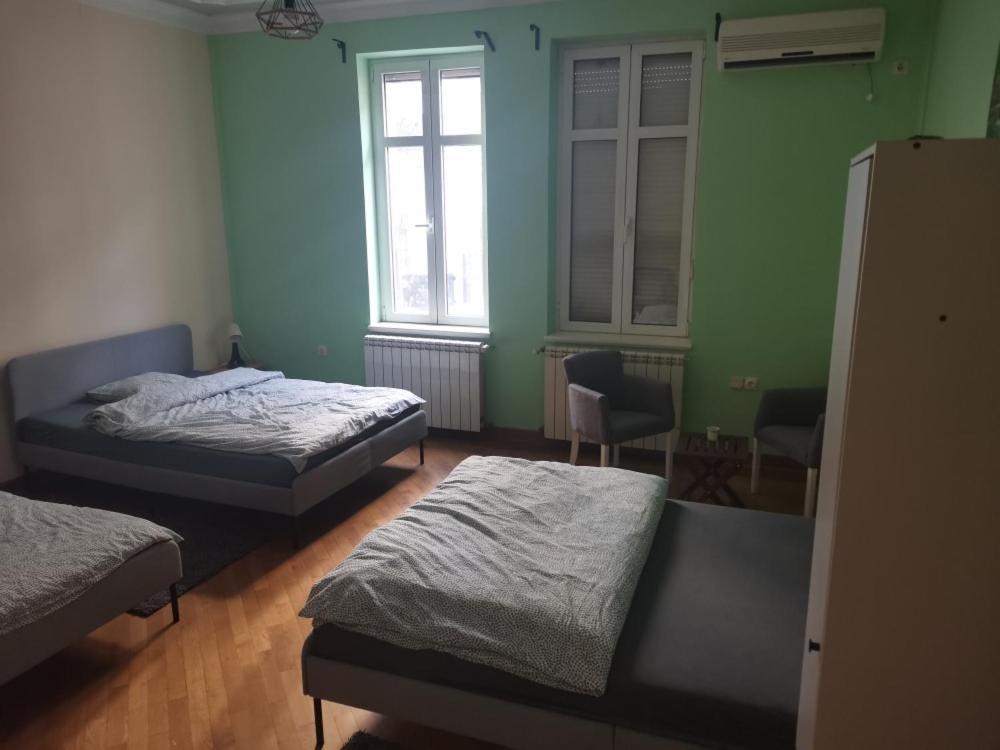 Cozy Palace Hostel Belgrado Buitenkant foto