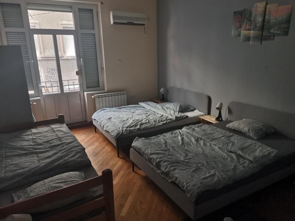 Cozy Palace Hostel Belgrado Buitenkant foto